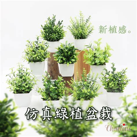 假植物|仿真盆栽｜優惠推